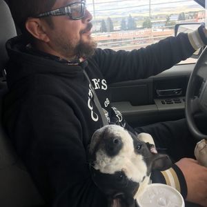 Meet your Posher, Joe